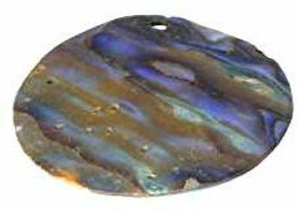 hoseki Natural Abalone 11.1ct stone Regular Oval Crysta...