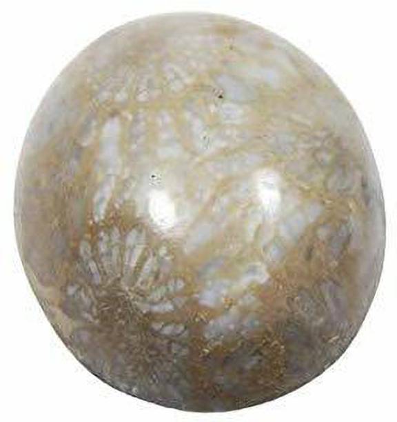 hoseki Natural Chakrankit Dwarka Stone 21.0ct stone Reg