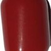 ZOCTALGEM Oval Red Coral Red Moonga of 9.50cts for Pend...