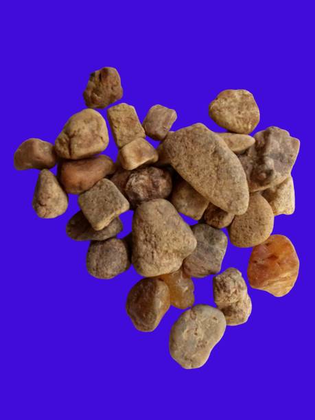 Green Plant indoor Naturalstone1135 Engraved Oval Rock ...