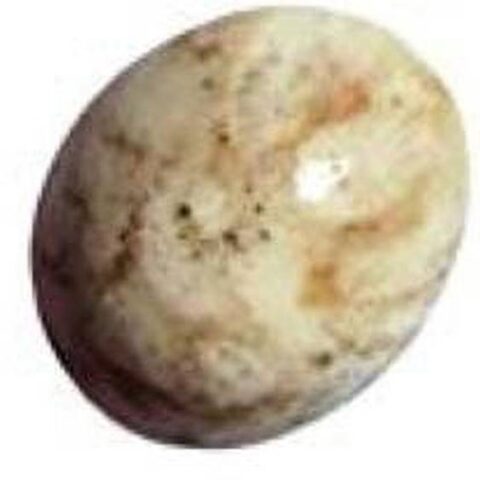 hoseki Natural Chakrankit Dwarka Stone 9.9ct Regular Ov...