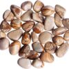 9dzine Picture Jasper Tumbled Stone 50 Gm,Picture Jaspe