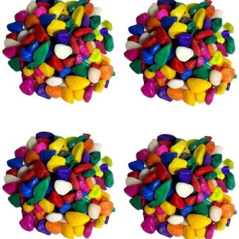 Green Plant indoor Multi2561 Polished Round Marble Pebb