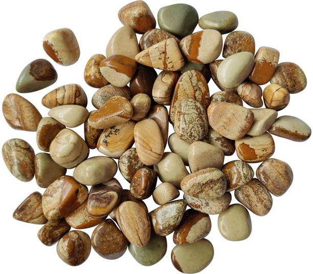 Shubhanjali Picture Jasper Tumbled Stone 450 Regular As
