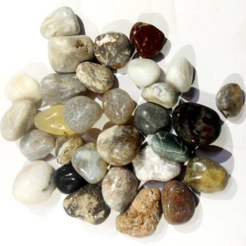 Green Plant indoor Multi1156 Polished Round Marble Ston...