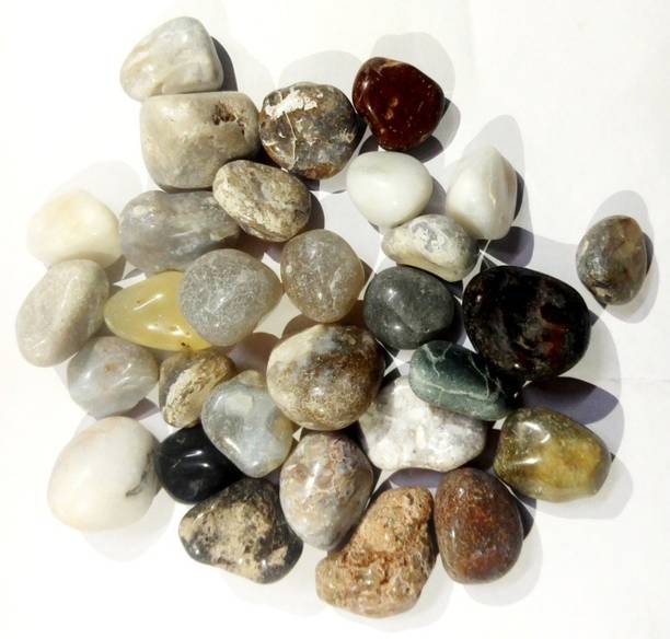 Green Plant indoor Multi1156 Polished Round Marble Ston...