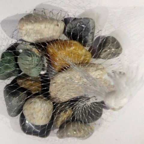 Green Plant indoor Multi1159 Polished Round Marble Ston