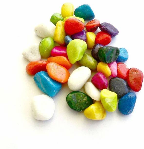 Green Plant indoor Stone136552 Polished Round Marble St