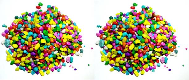 Green Plant indoor Multi0119182 Polished Round Marble S