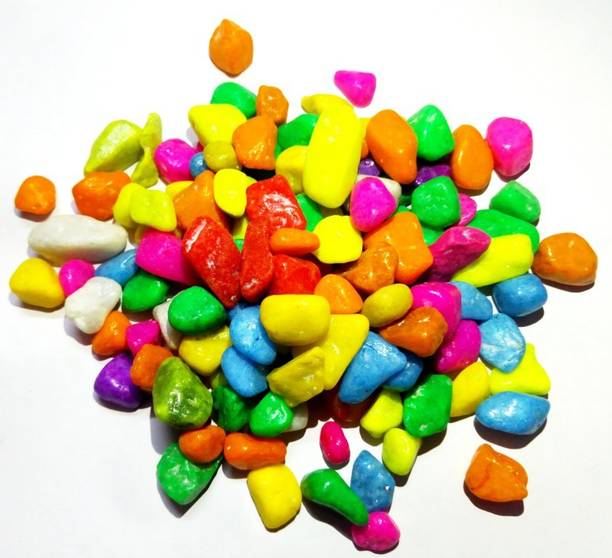 Green Plant indoor Multi011995 Polished Round Marble St