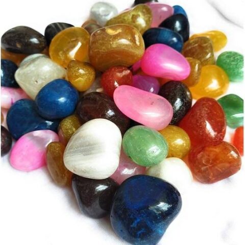 Green Plant indoor MultiOnyx1009 Polished Round Marble