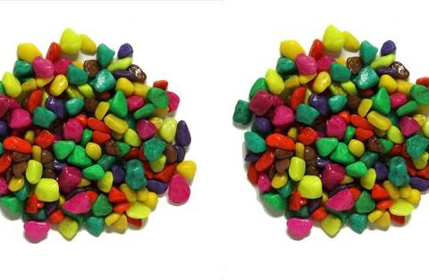 Green Plant indoor Multi2501 Polished Round Marble Ston