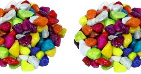 Green Plant indoor Multi2504 Polished Round Marble Ston