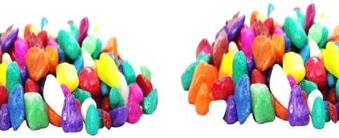 Green Plant indoor Multi2522 Polished Round Marble Ston