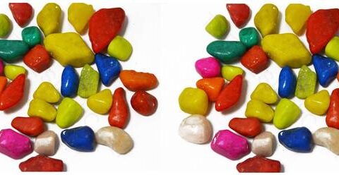 Green Plant indoor Multi2523 Polished Round Marble Ston...