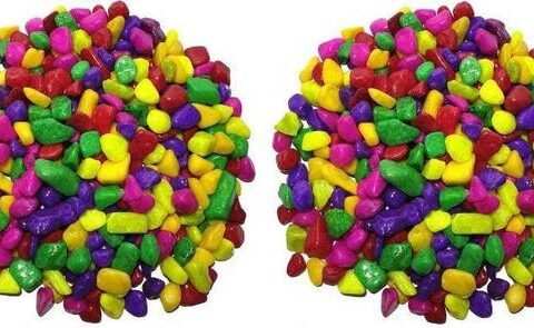 Green Plant indoor Multi2525 Polished Round Marble Ston