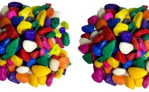 Green Plant indoor Multi2527 Polished Round Marble Ston