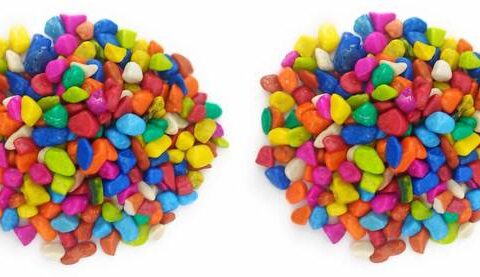 Green Plant indoor Multi2526 Polished Round Marble Ston