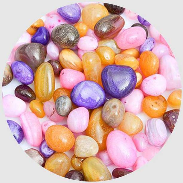 Green Plant indoor multipebbles12154 Polished Round Mar
