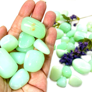 Green Opal / Chrysopal Tumble Stones (Emotional Comfort & Healing)