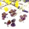Ametrine Rough (Relieves Depression)