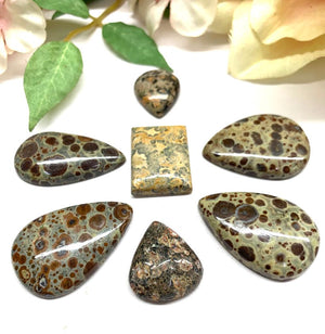 Orbicular Jasper Cabochon (Patience)